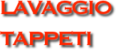 LAVAGGIO 
TAPPETI