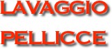 LAVAGGIO 
PELLICCE