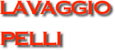 LAVAGGIO 
PELLI